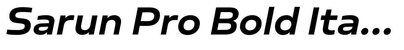Sarun Pro Bold Italic
